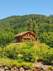 CHALET DES CHARBONNIERS AVEC ETANG - 5 chambres -