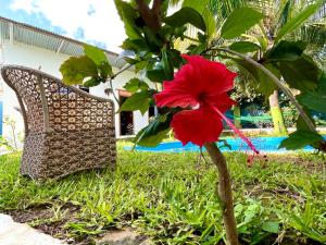 Greens Hostel Nungwi