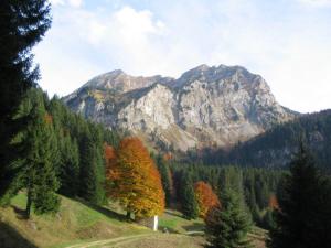 Appartements Les Montagnes : photos des chambres