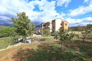 Danerova, No 1 - Knežević