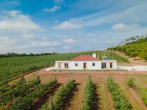 Monte da Várzea da Rainha - Bairro