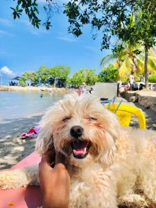 HOTEL HERMOSO CARIBE