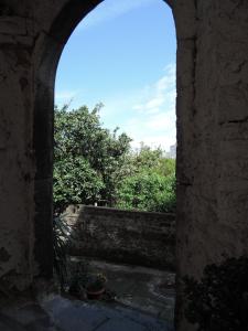 La Casa nel Cortile