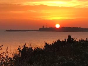 Conil, descanso en la dehesa