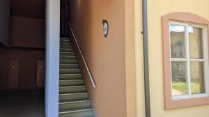 Crystal Forest #66 By Bear Country