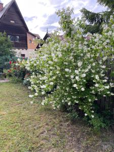 Drumul Poienii Apartment