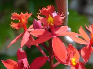 Sea to see - sea front view
