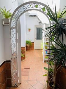 Petit Room, Habitación