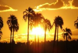 Colòn Centro - Departamento 2 a 4 personas