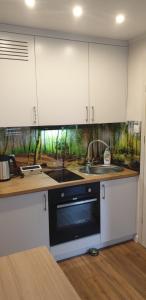 Apartament przy Starym Mieście - 3hvězdičkové hotely ve městě Elblag