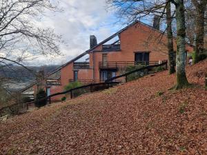 Le Rouge Gorge Curieux