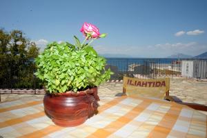 Iliahtida Apartments