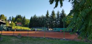 APARTMANI SRCE MREŽNICE