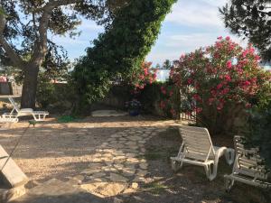 Apartments Mare More