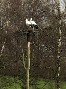 Nostalgisch overnachten in hooimijt