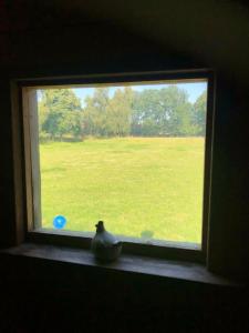 Nostalgisch overnachten in hooimijt