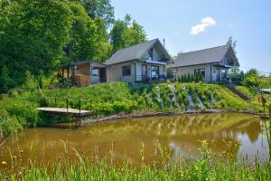 Domki pod lasem w Wojtkowej