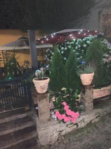 Ferienhaus, Rustico Auf Burg