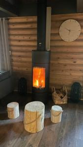 Levillenet Bearlodge at Levi city centre