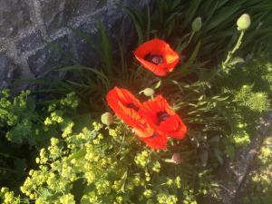 Nether Dallachy Farmhouse