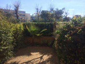 Appartement T2 en rez-de-chaussée avec terrasse, proche plage et piscine - 4 couchages - Argelès-sur-Mer - FR-1-388-40