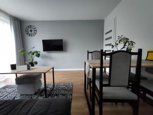 Apartament Mineralny