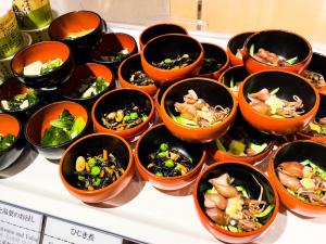 Dormy Inn Premium Kanda