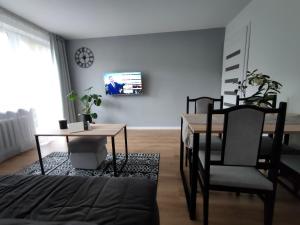 Apartament Mineralny