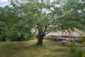 Maisons de vacances Chateau de Favols, gite sur Lot (Lot et Garonne) : photos des chambres