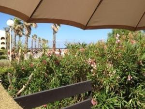 Villa 2 pièces, 4 couchages, face à la mer, parking privé, proche commerces, plage à 300m. - FR-1-81-474