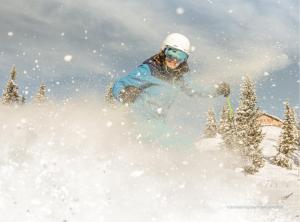 ALPINE Appartement 208 Schladming by globboard