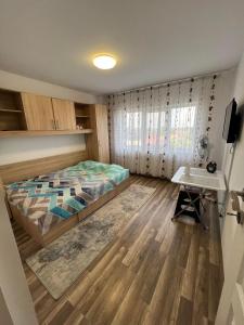 Apartament Madalina cu 2 dormitoare si vedere spre Dunare