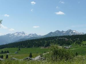 Chalet 3 pièces Les Saisies 8 pers proche centre - FR-1-594-55