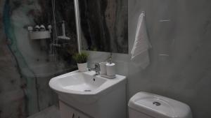 Elite Studio Militari Residence
