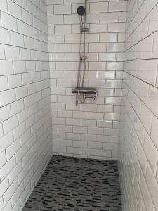 Spacious appAntwerp city center #003