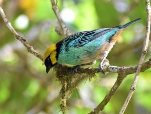 La Finca - Eco Hotel