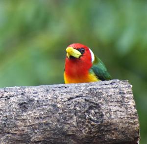 La Finca - Eco Hotel