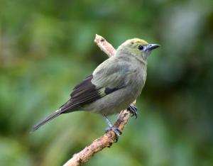 La Finca - Eco Hotel