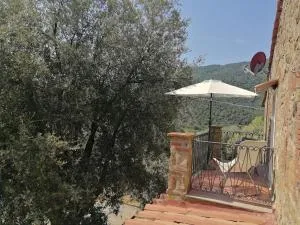 L'11 di Borgo Biagioni - 斯卡尔利诺