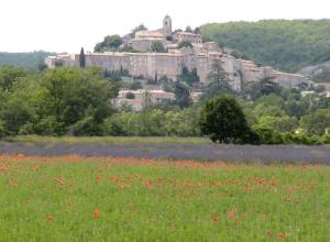 Villas Villa Emmanuelle a Banon, Provence : Villa