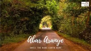 Abar Aranye - Jhilimili