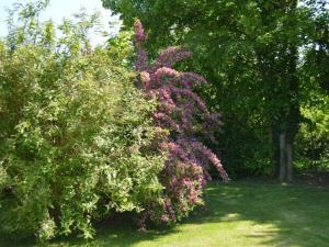 Gîte Insolite Roulotte 5 Personnes