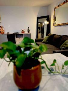 Appartements Le lys - Cosy et atypique a Moulin-Les-Metz : photos des chambres