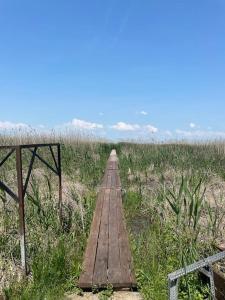 Házikó VendégházBalatonfenyves