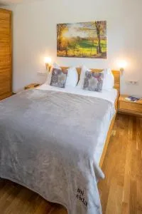 mivida - Apartment zum Arber - تريبن