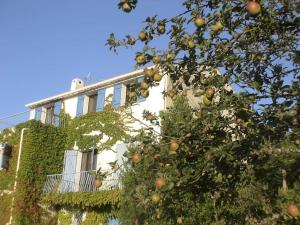 Maisons de vacances Fraicheur & calme en Montagne, 30minutes de la mer : photos des chambres