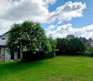 Maisons de vacances Gites Le Lilas - Lac de Pareloup : photos des chambres