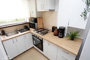 Elegant Concept Studio