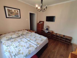 Apartments in Siofok - Balaton 19986