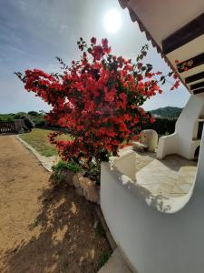 Villa Cala dOro santa teresa di gallura